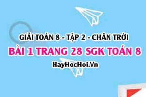Bài 1 trang 28 Toán 8 Tập 2 Chân trời sáng tạo